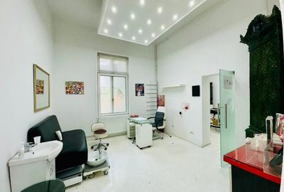 Armeneasca - Pache Protopopescu apartament in vila arhitectura deosebita - 14