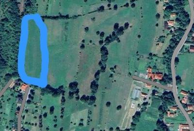 Spațiu comercial, în Bistra Mureșului - 5