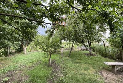 Apartament la casa cu gradina, cartier Andrei Muresanu