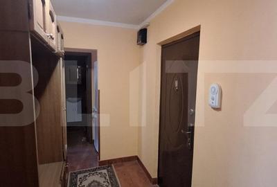 Apartament 2 camere , cu 2 balcoane si pivnita , zona Micro 17 - 13