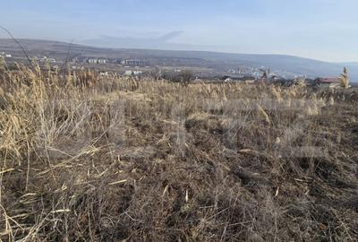 Teren de 6300 mp, în Iris