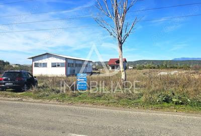 Teren în Narciselor - 6