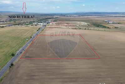 Teren de 27500 mp, în Tișița - 5