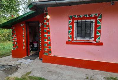 Vanzare casa Lehliu Gara - 4