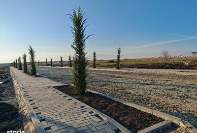 Spațiu comercial, în Nord - 2