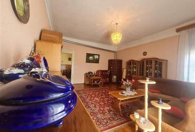 Poveste saseasca la umbra vitei de vie, cu crama si gradina cu flori, Central Co - 12