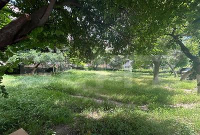 Teren de 232 mp, în Rovine