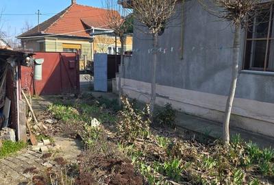 Casă cu 2 camere cu Teren 382 Mp în Botizului - 4