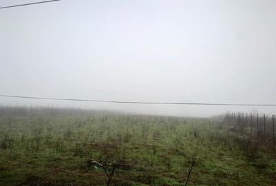 Teren de 6600 mp, în Vânători - 4