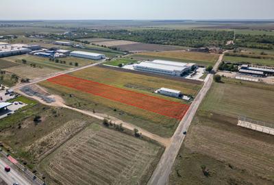 Teren Intravilan - Branesti - Investitie Pentru Hale Industriale - Vanzare - 5