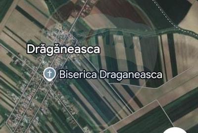 Teren Draganeasca-Ulmi / DJ 404 Jud Giurgiu - 2