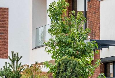 Casă cu 5 camere cu Teren 450 Mp în Snagov - 8