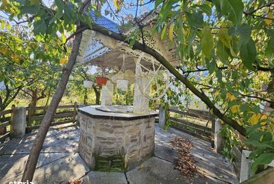 Casă cu 4 camere în Borzești