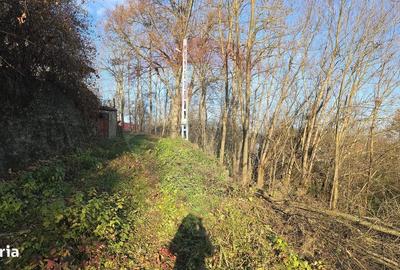 Teren de 10860 mp, în Gălănești - 8