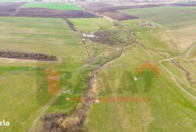 Teren de 20000 mp, în Șura Mică - 7