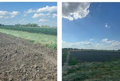 Teren extravilan, Valea Dragului, jud Giurgiu - 3035284 - 2