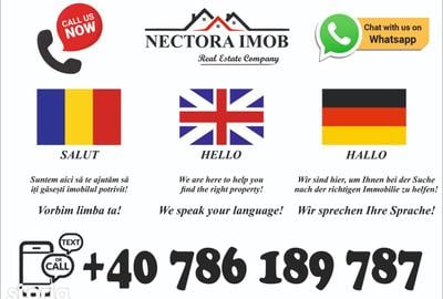 Casă cu 2 camere cu Teren 951 Mp în Paleu - 2