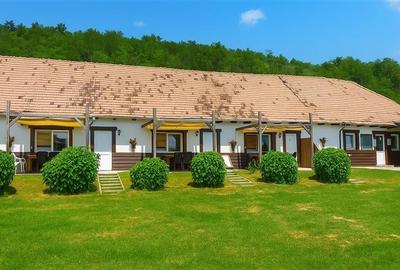 Transilvania Camping, domeniu de 14.400mp, Sanmarghita de Mures:2cladiri, aparta - 3