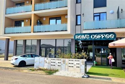 EXCLUSIV, Spatiu Mosnita Noua, artera principala, vizibilitate buna - 3
