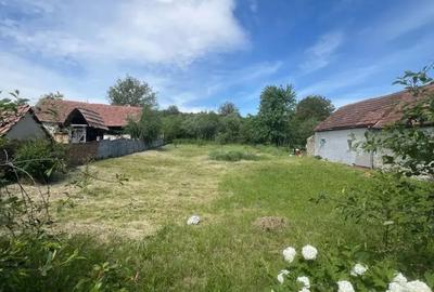 Casa individuala de vanzare | 100 mp utili | teren 2300 mp - sat Rusi - 7