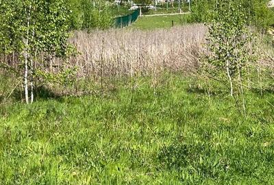 Spațiu comercial, în Sebeșu de Sus - 3