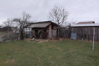 Casă cu Teren 3000 Mp în Mircea Vodă - 3