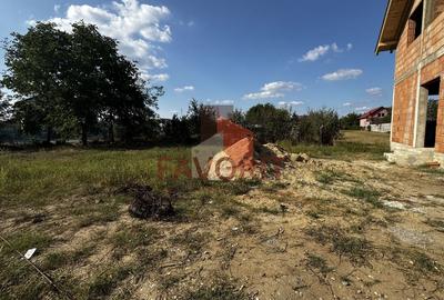 Duplex pe parter | Albina comuna Mosnita Noua | Toate utilitatile - 11