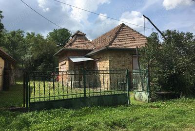 Casă cu 3 camere cu Teren 2913 Mp în Măhăceni - 3