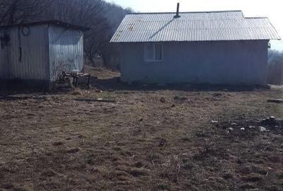 Teren de 6200 mp, în Viperești - 2