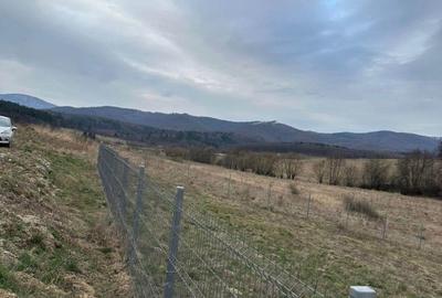 Teren Construcții intravilan de 1030 mp, în Dumbrăvița - 6