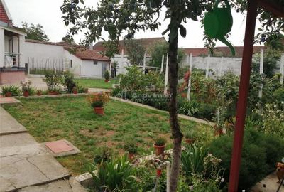 Casa Valea Timisului pt 2 Familii ZERO Comision Cumparator - 18