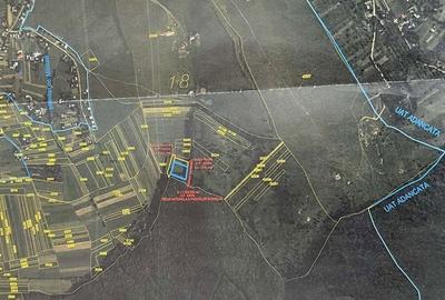 Spațiu comercial, în Central - 2