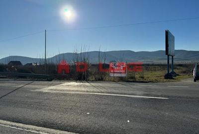 Teren 1250 mp. DN 17 Crainimat - 6