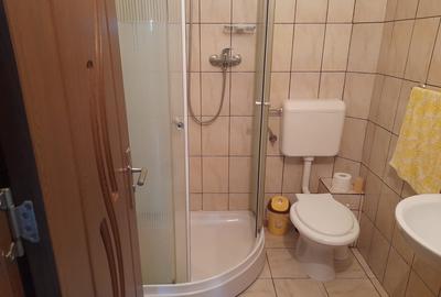 Apartament 3 camere de vanzare strada Octavian Paler Fagaras jud. Brasov - 13