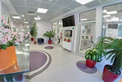 VAND SP. COM. 340 mp cu parcare privata- la 1 min de Mosilor-Eminescu - 6