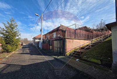 Casă cu 4 camere cu Teren 262 Mp în Vitrometan - 12