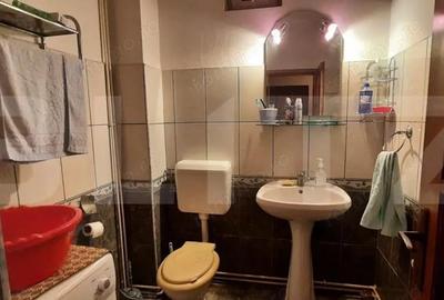 Doua case de vanzare in curte comuna,zona Titulescu Satu Mare - 6