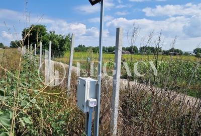 Teren agricol intravilan de 30101 mp, în Tudor Vladimirescu - 4