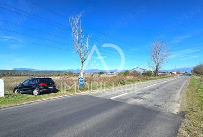 Teren intravilan strada Narciselor - 1