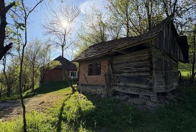 Casă cu 4 camere în Blăjeni - 3