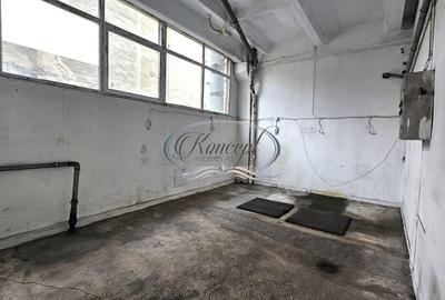 Hala ideala pentru productie sau depozit in Piata 1 Mai - 4