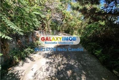 VANZARE 10.000 MP LOCALITATEA ILEANA 49 KM BUCURESTI - 19