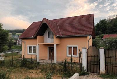 Casă cu 4 camere cu Teren 1600 Mp în Seleuș (Daneș) - 8