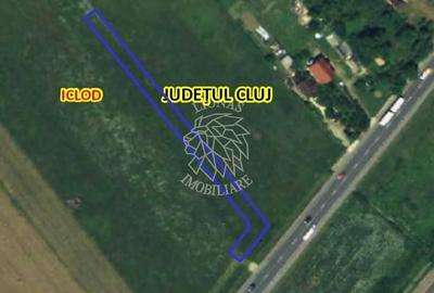 Teren agricol intravilan de 7800 mp, în Livada (Iclod) - 4