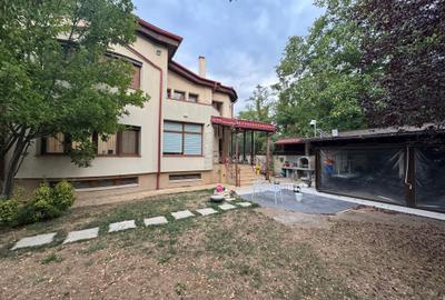 Vilă deosebită D+P+1E+P/ zona exclusivistă/Iancu Nicolae - 3