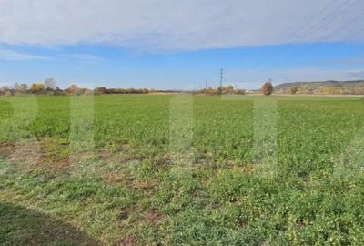 Teren de 1400 mp, în Răzvad - 3