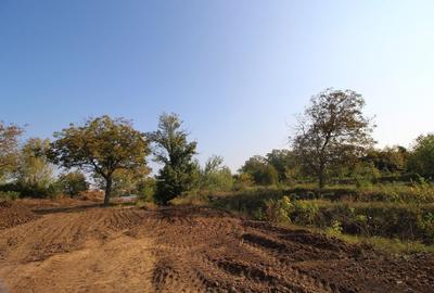 Teren Construcții intravilan de 5963 mp, în Dămăroaia - 15