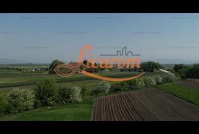 Casă individuală cu 6 camere decomandat cu Canalizare în Stupini - 18