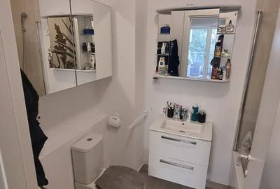 Apartament cu 3 camere decomandat, mobilat în Camil Ressu - 10