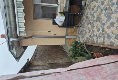 Casa de Vanzare Ramnicu Sarat - 6